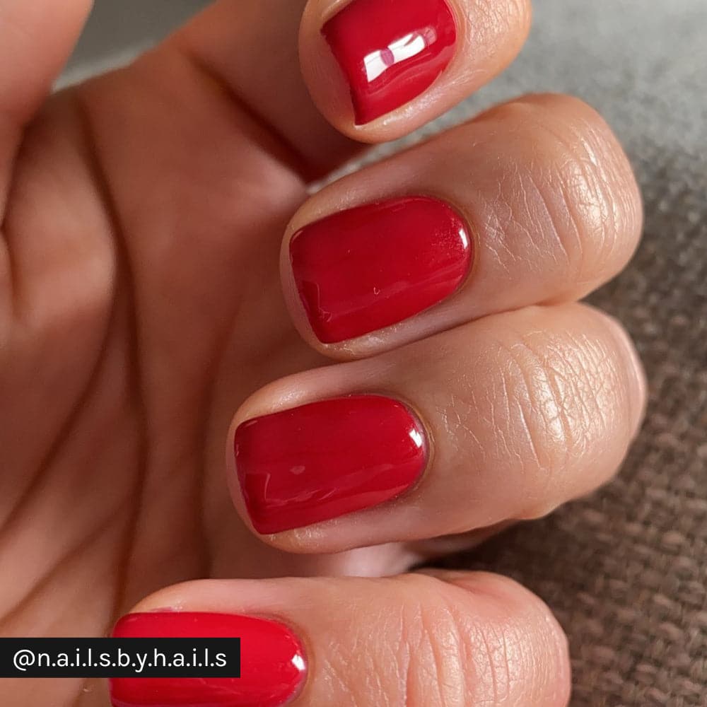 A Dozen Roses - Image 12