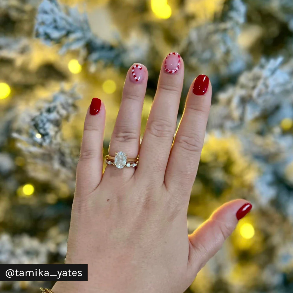 A Dozen Roses - Image 15