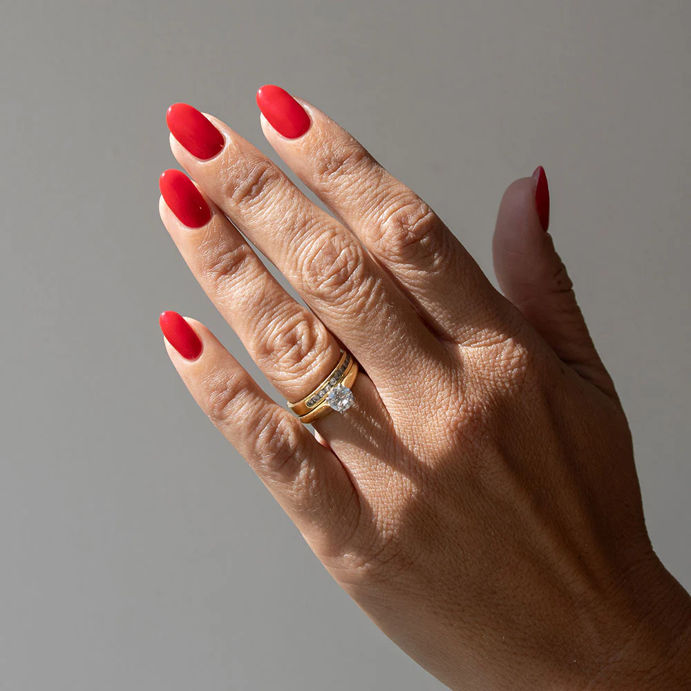 A Dozen Roses - Image 3