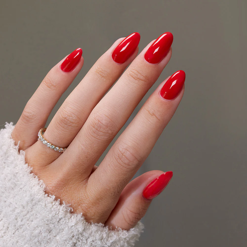 A Dozen Roses - Image 4