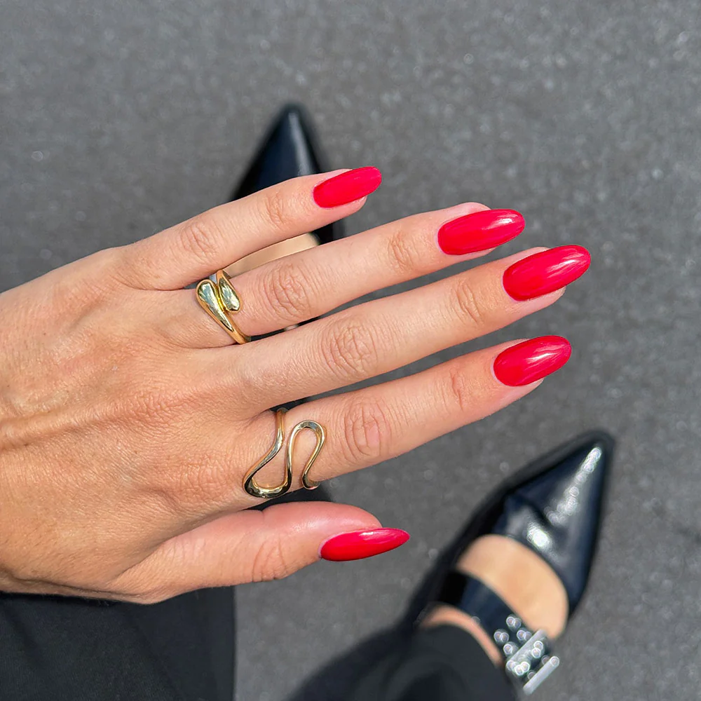 A Dozen Roses - Image 6