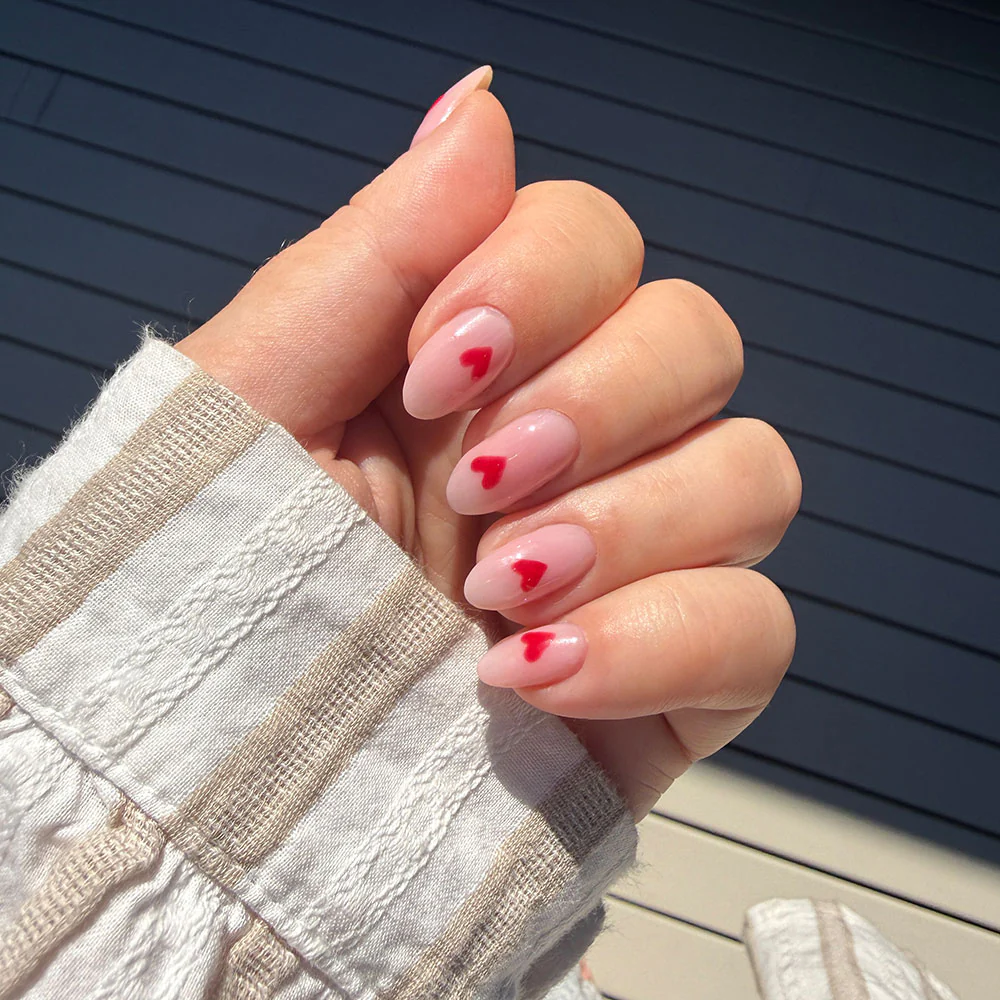 A Dozen Roses - Image 7