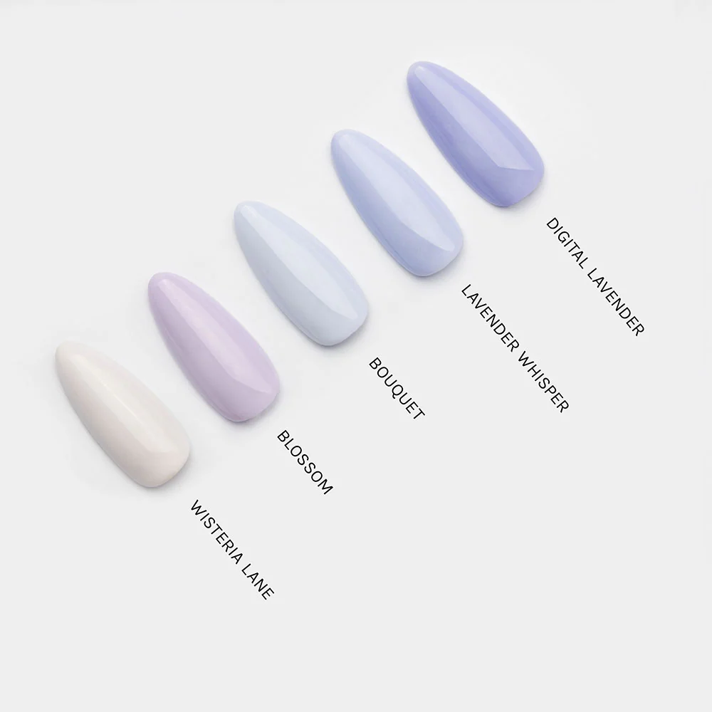 Lavender Whisper - Image 12