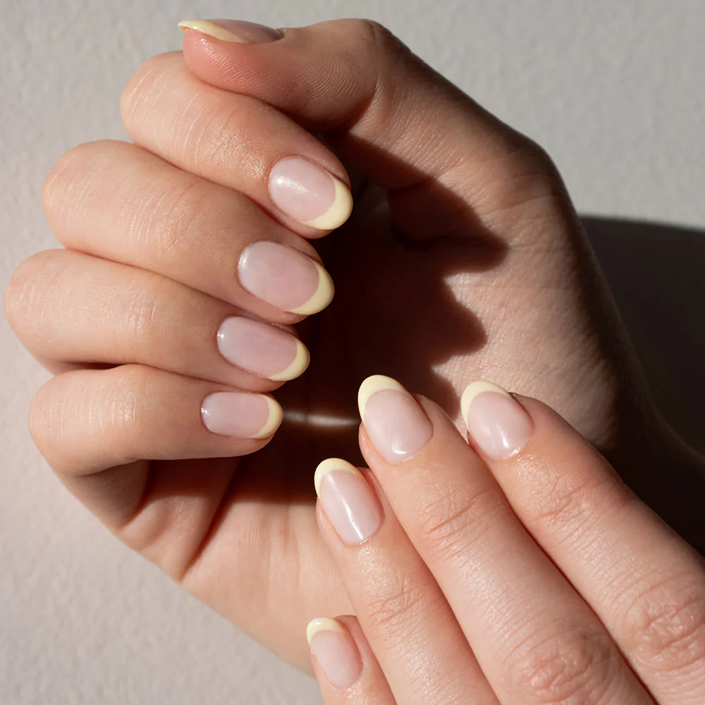 Lemon Sorbet - Image 12