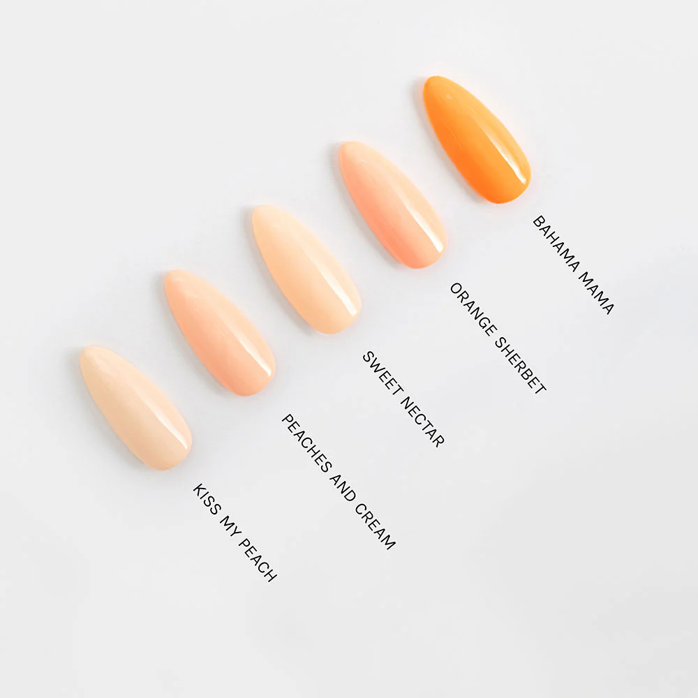 Orange Sherbet - Image 4