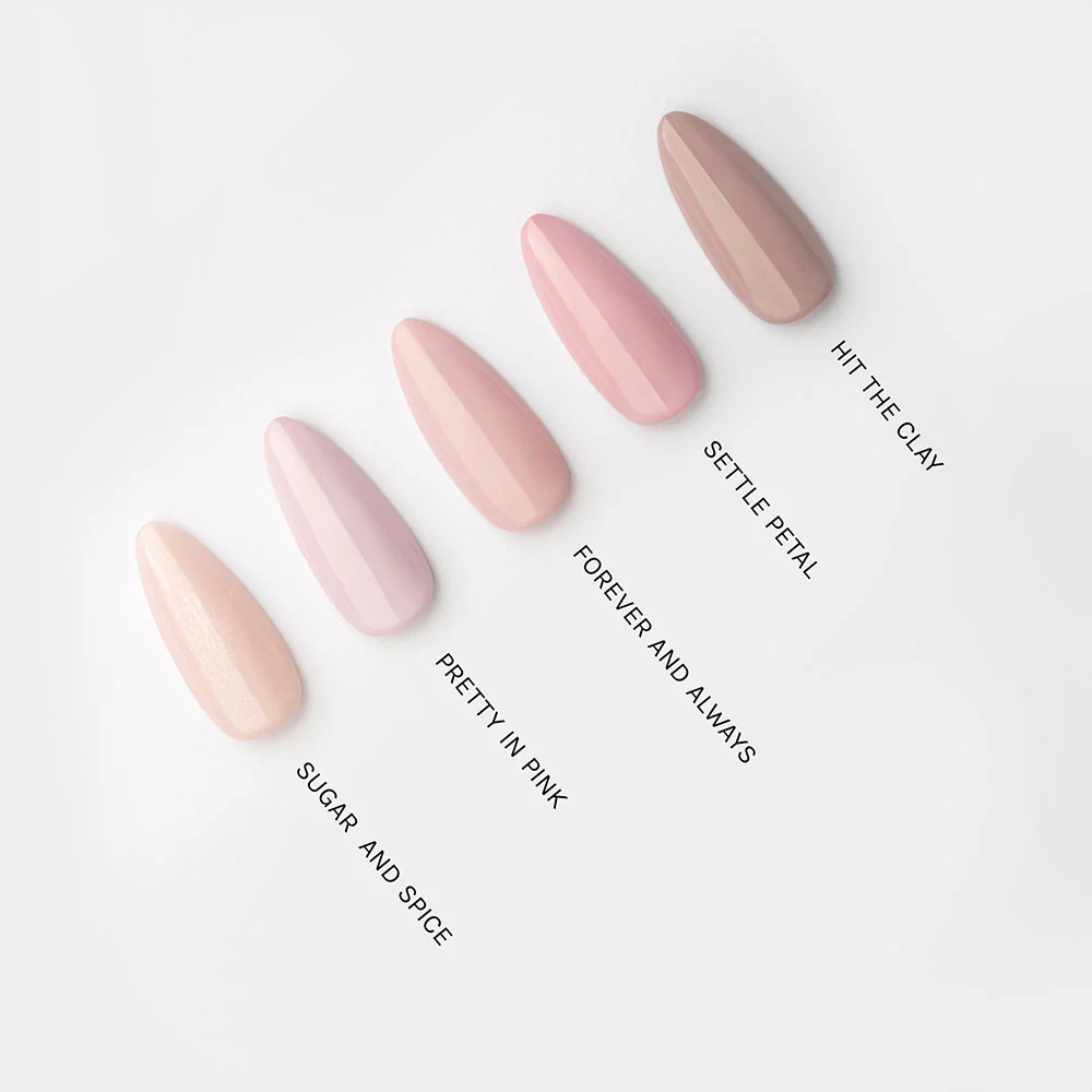 Sugar and Spice - Image 6