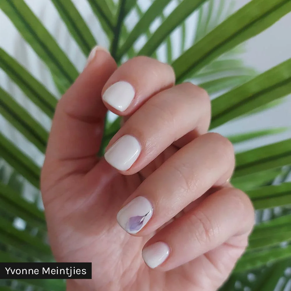 Swan Lake - Image 12