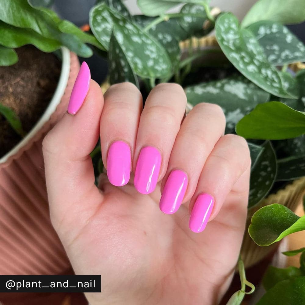 Tickled Pink - Image 16